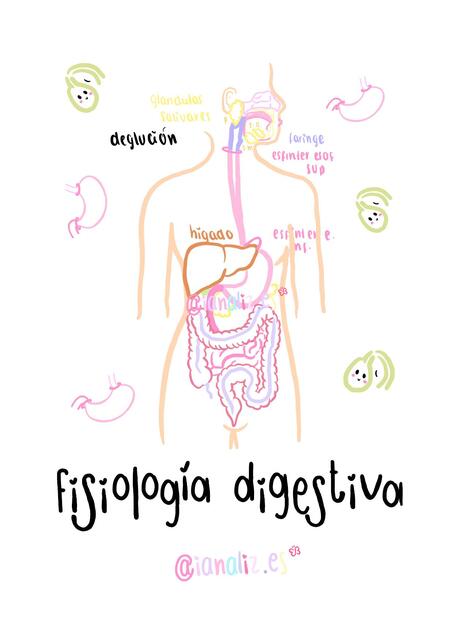 Fisiología Digestiva