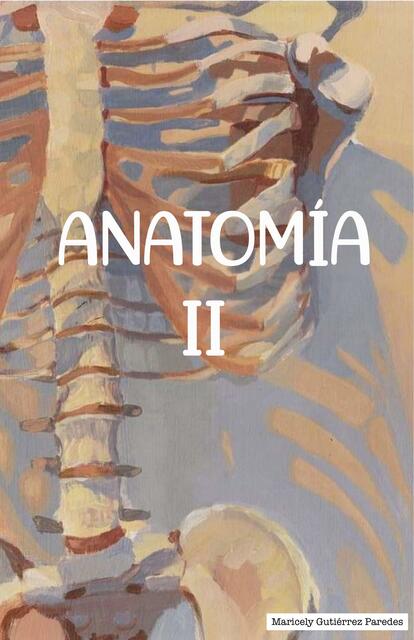 Anatomía 2