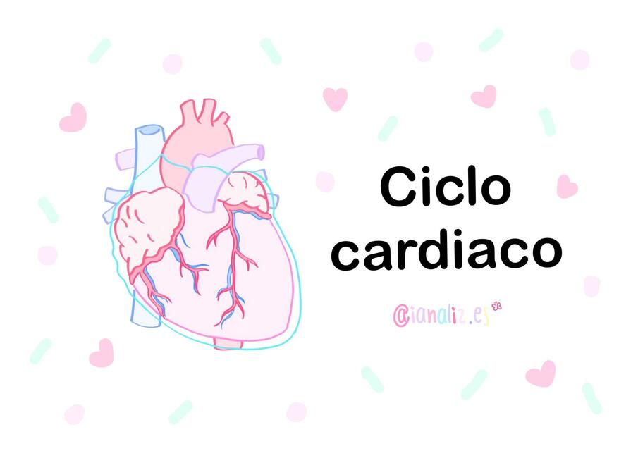 Ciclo cardiaco