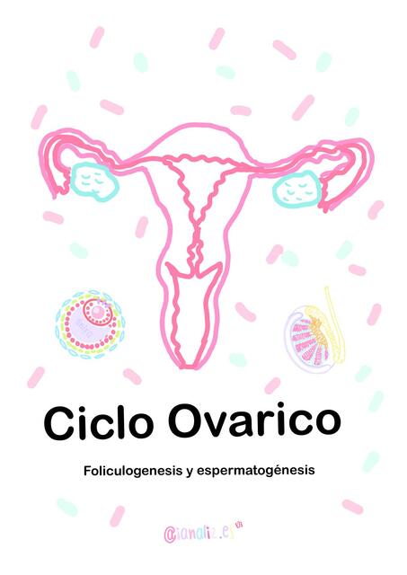 Ciclo Ovárico