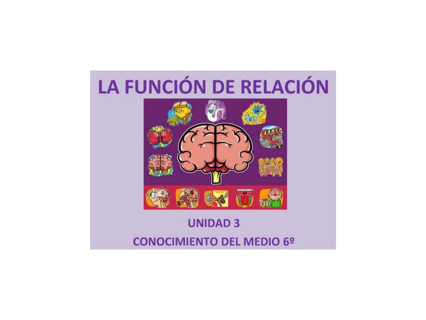 SIstemas de relación