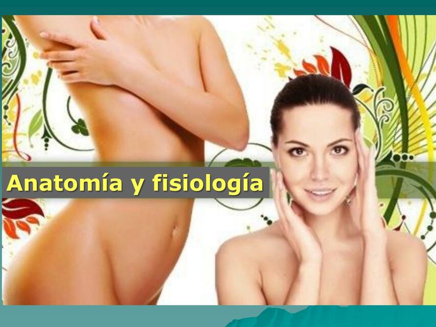 Anatomía y fisiología