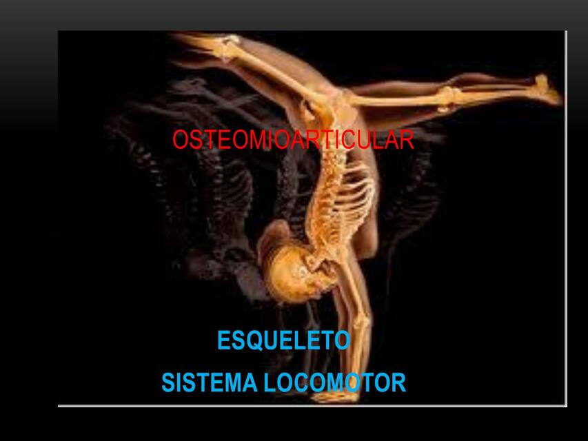 Osteomioarticular