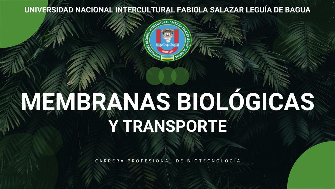 Membranas Biológicas y Transporte