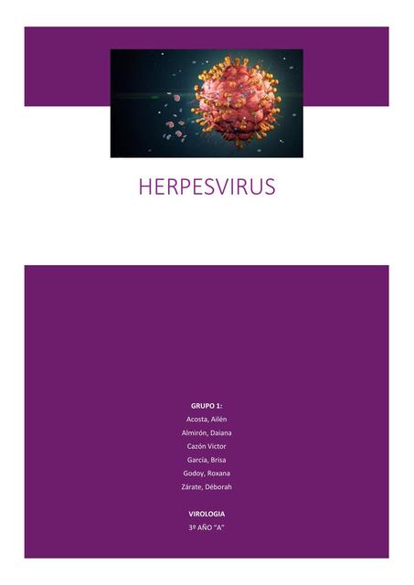 Herpesvirus 