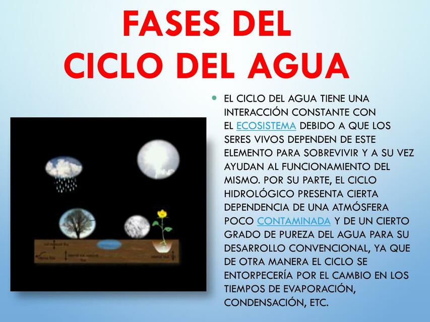 Flashcards de Fases del ciclo del agua | Por Apuntes de Ingenieria ...