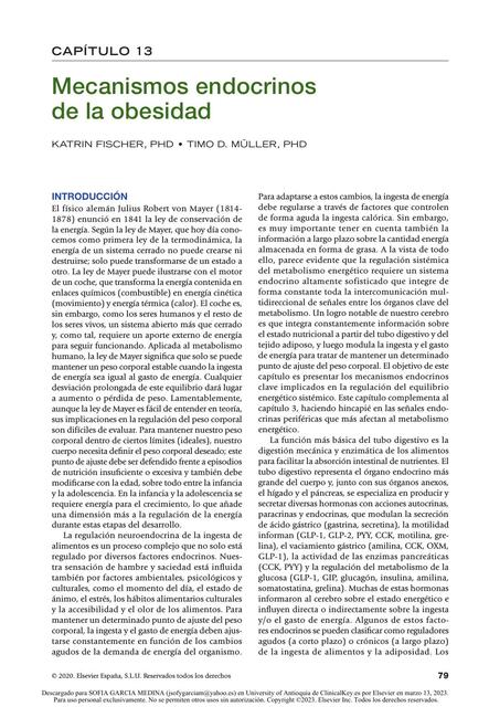 Mecanismos endocrinos de la obesidad 