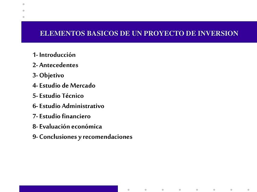 Elementos básicos de un proyecto de inversin