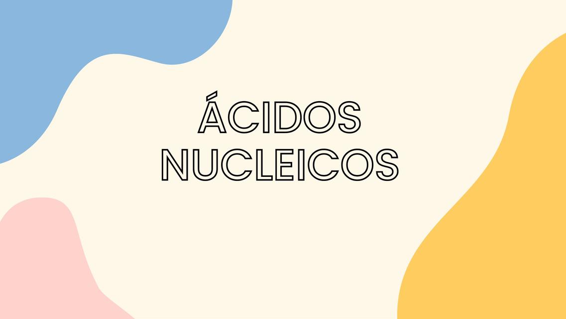 Ácidos nucleidos 