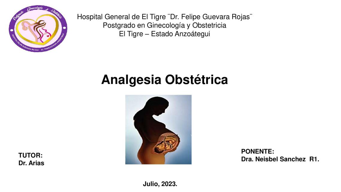 Analgesia obstétrica nueva