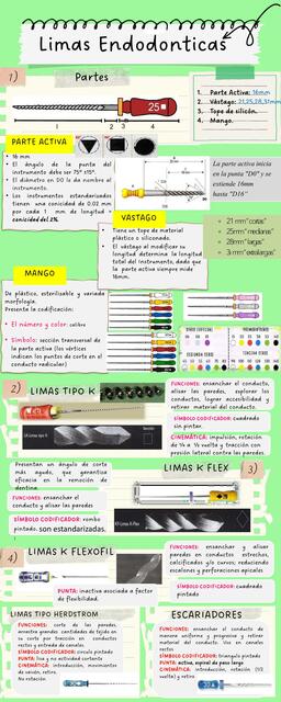 Limas Endodonticas 