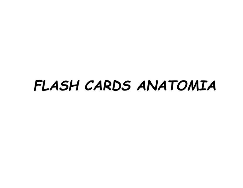 Flash Cards Anatomía 