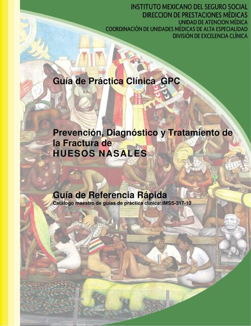 Prevención, Diagnóstico y Tratamiento de la Fractura de HUESOS NASALES