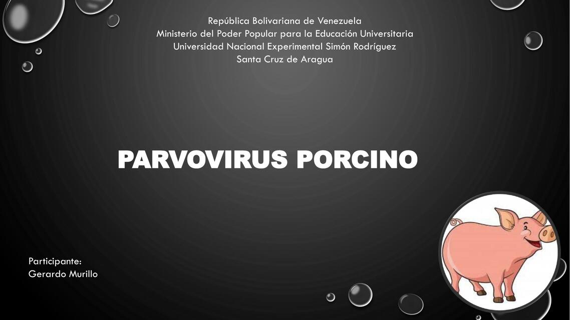 Parvovirus Porcino 