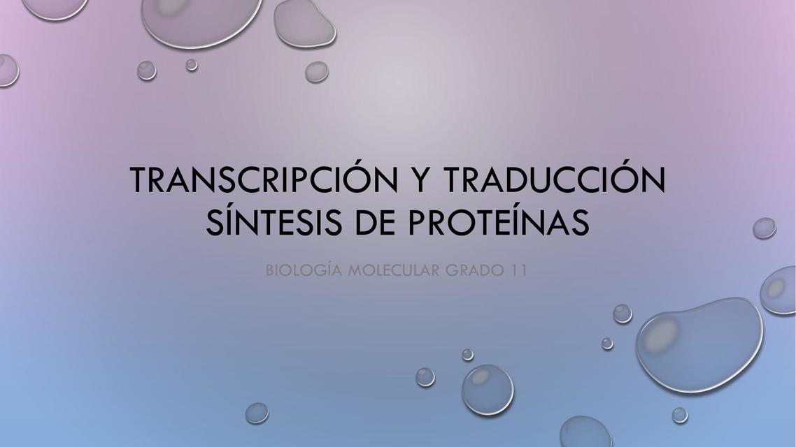 Transcripción y traducción síntesis de proteínas 