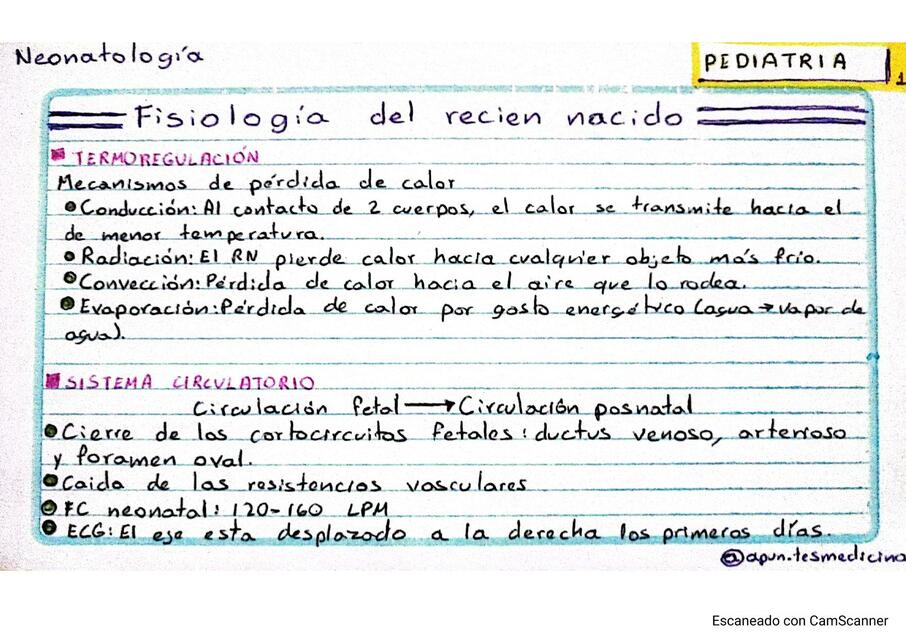 Fisiología del Recién Nacido 