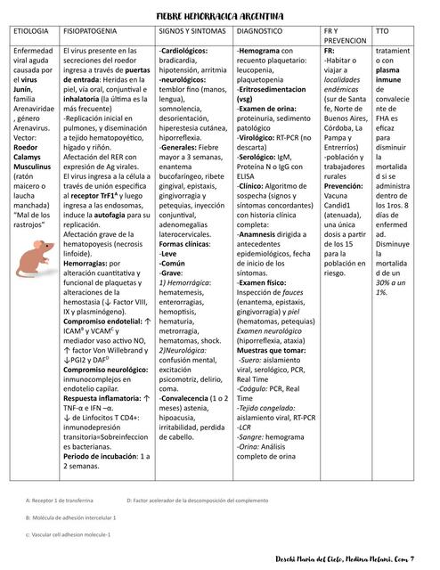 Fiebre hemorrágica argentina FHA