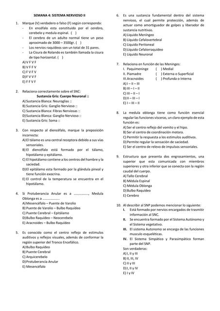 Semana 4: Sistema nervioso II 