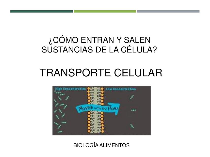 Transporte celular 