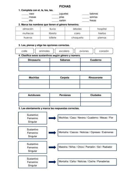 Fichas Educativas 