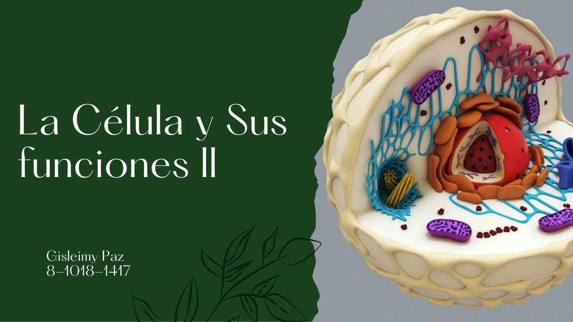 La Célula y sus Funciones II 