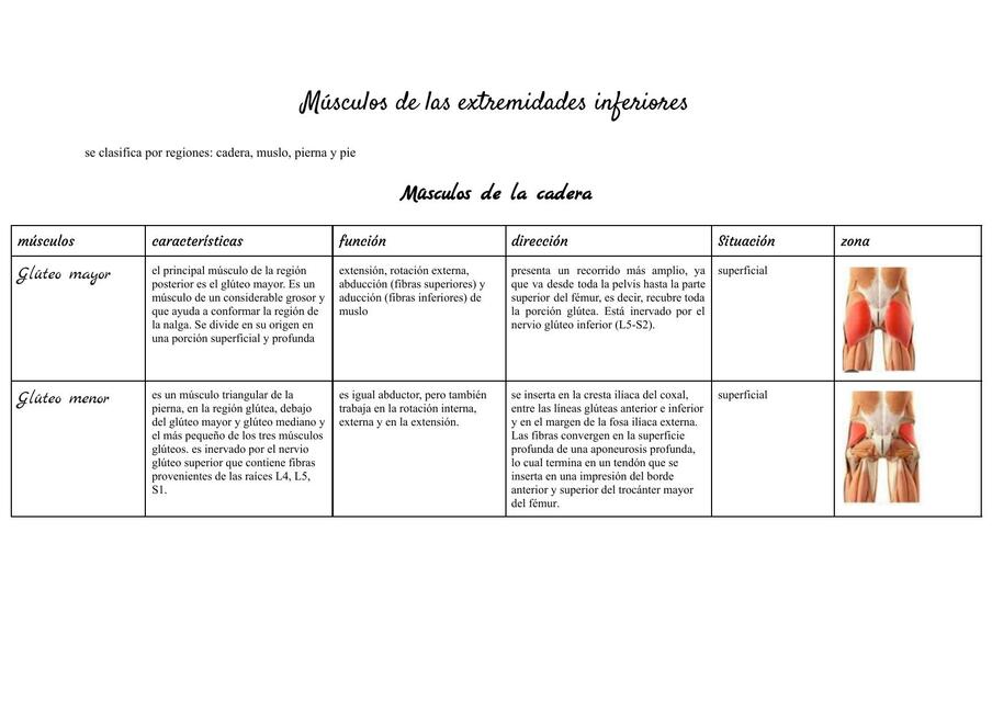 Músculos de las Extremidades Inferiores