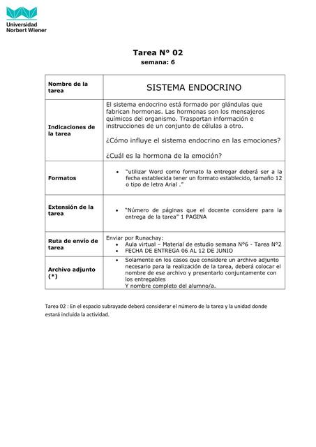 Sistema Endocrino 