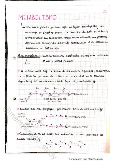 Metabolismo 