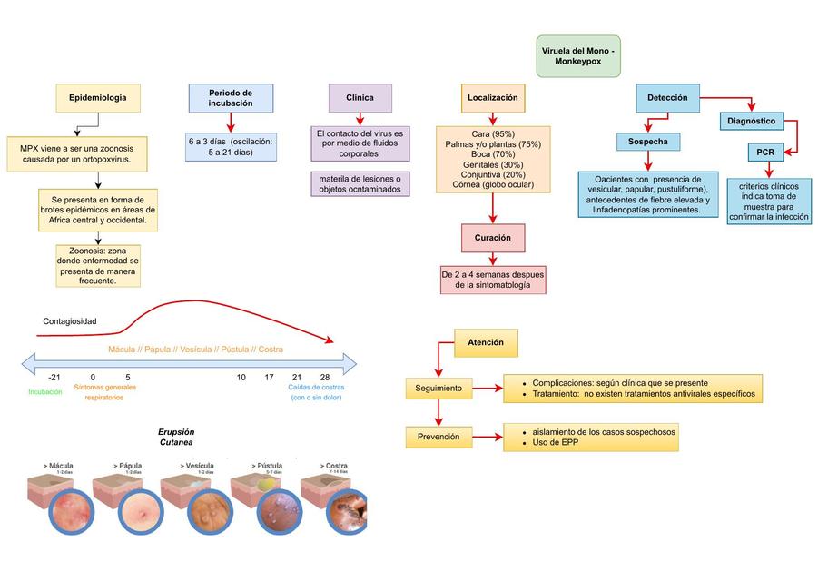 Viruela del Mono - Monkeypox 