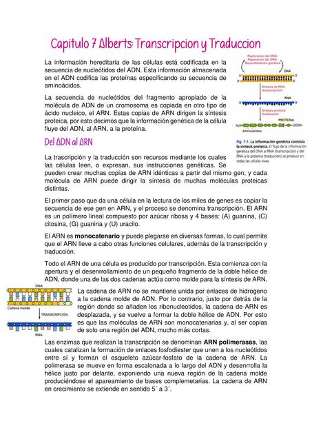 Transcripción y Traducción. Direccionamiento de Proteínas 