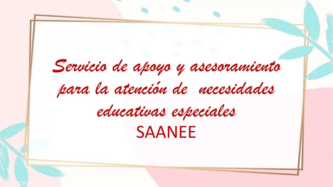 Servicio de Apoyo y Asesoramiento para la Atención de Necesidades Educativas Especiales 