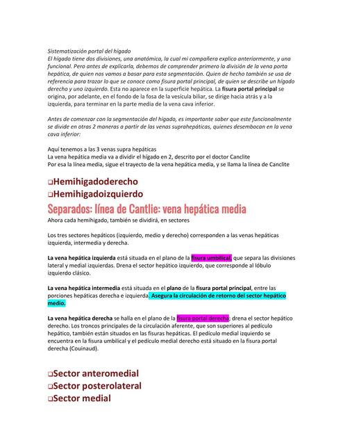 Sistematización Portal del Hígado 