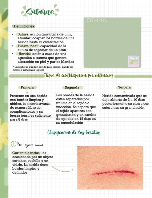 Suturas Karla Barragán Udocz