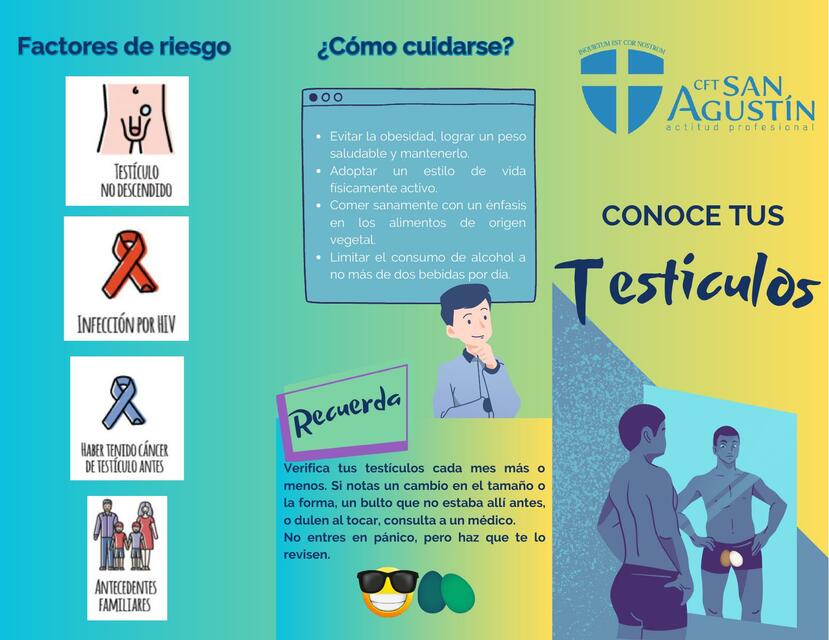 Autoexamen Testicular