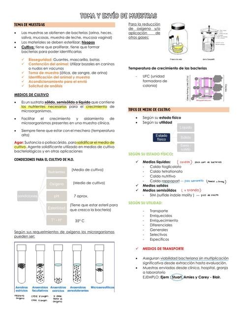 Toma de muestras y técnicas de coloración | Aleee | uDocz