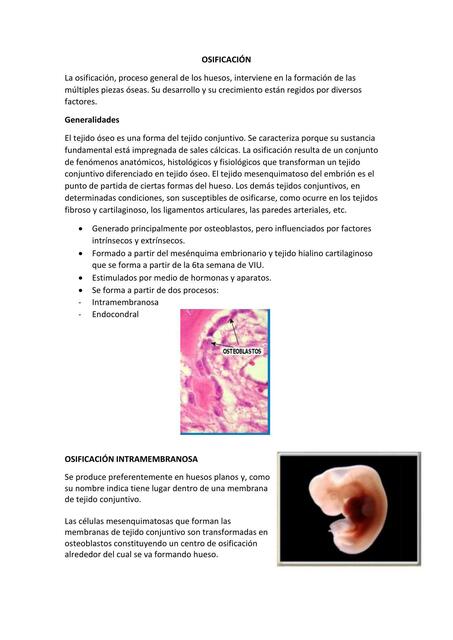 Osificación