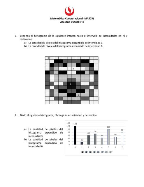 Asesoría Virtual