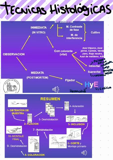 Técnicas Histológicas