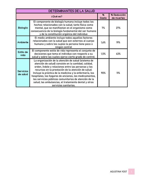 Determinantes de la salud pdf