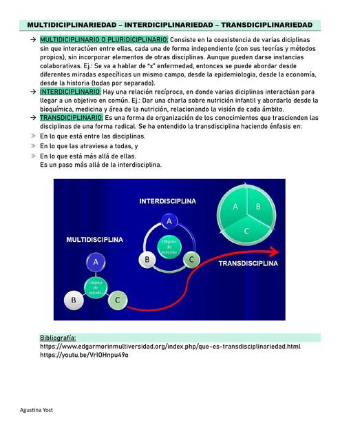 Multidisciplinariedad Transdicipliniedad  Interpdf