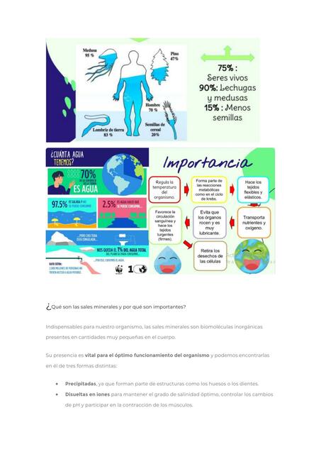 Moléculas Inorgánicas y Orgánicas