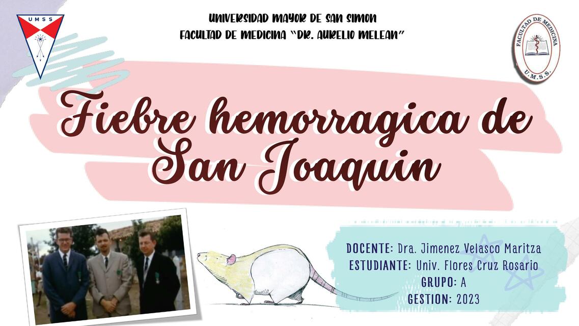 Fiebre Hemorrágica de San Joaquín 