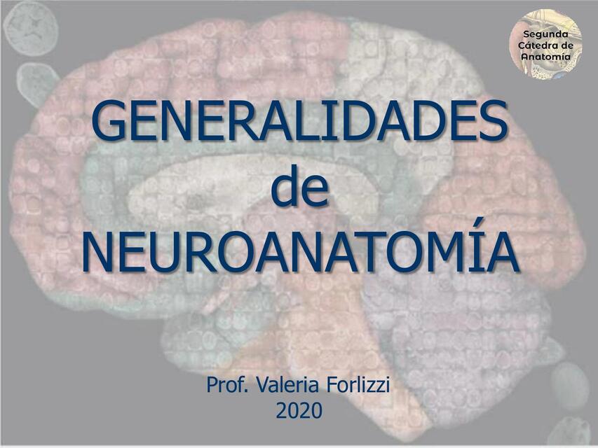 Generalidades de Neuroanatomía  