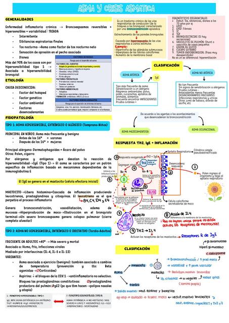 Asma y crisis asmática  