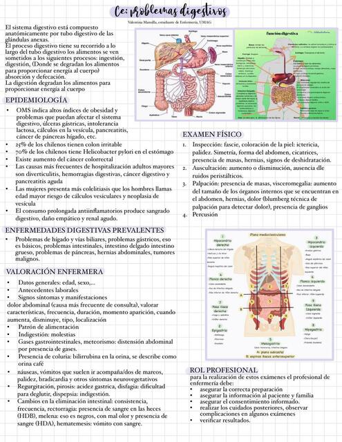 Problemas Digestivos 