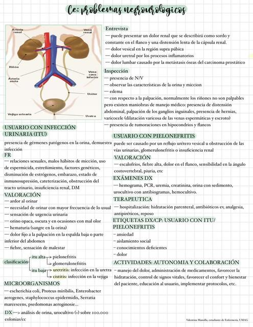 Cuidados Enfermeros: Problemas Nefrourológicos