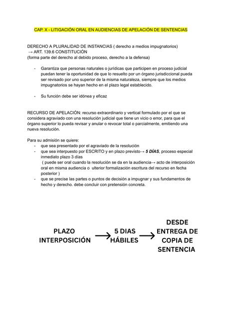 Guía litigación oral en audiencias