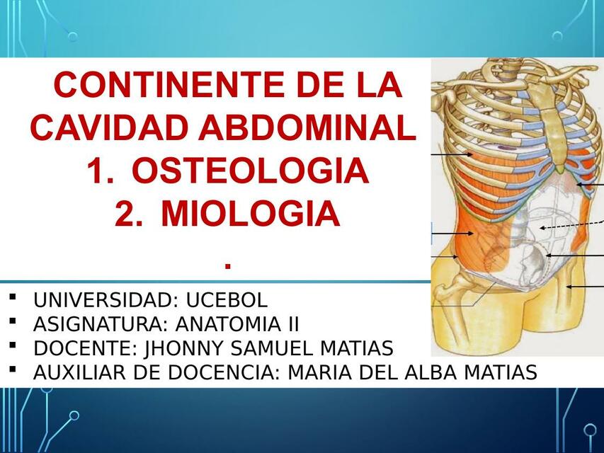 Flashcards de Continente de la Cavidad Abdominal | Por Jhem | uDocz