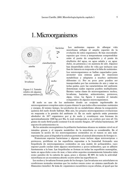 Microorganismos 