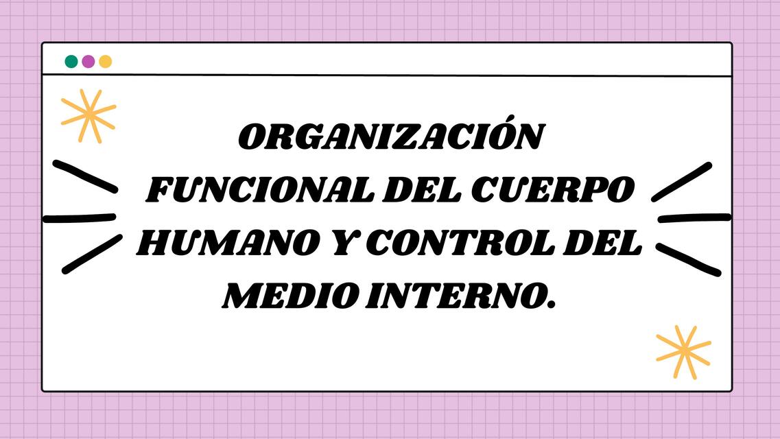 Organizacion funcional del cuerpo humano